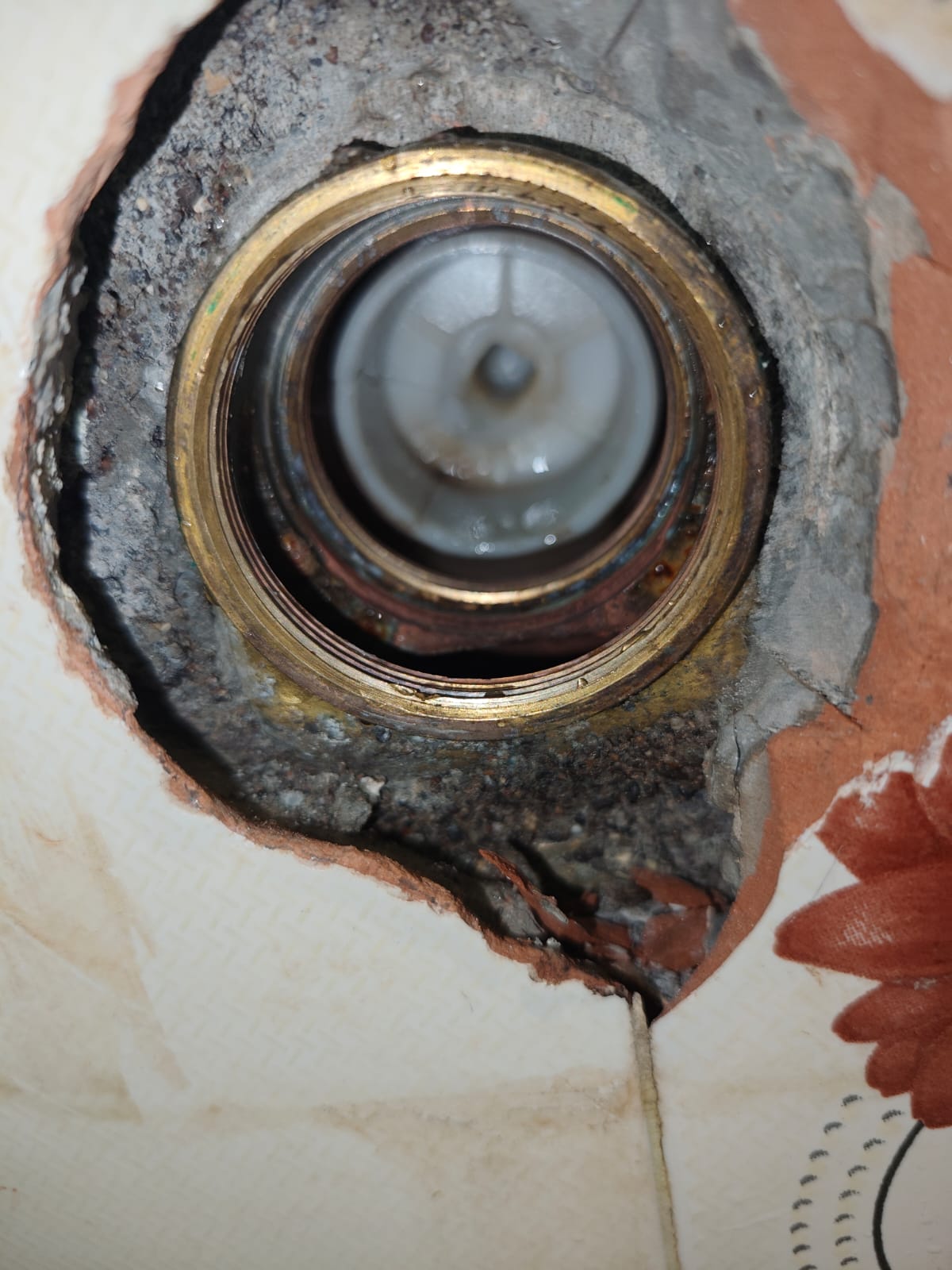 Sarvadnya Electrical & Plumbing Services