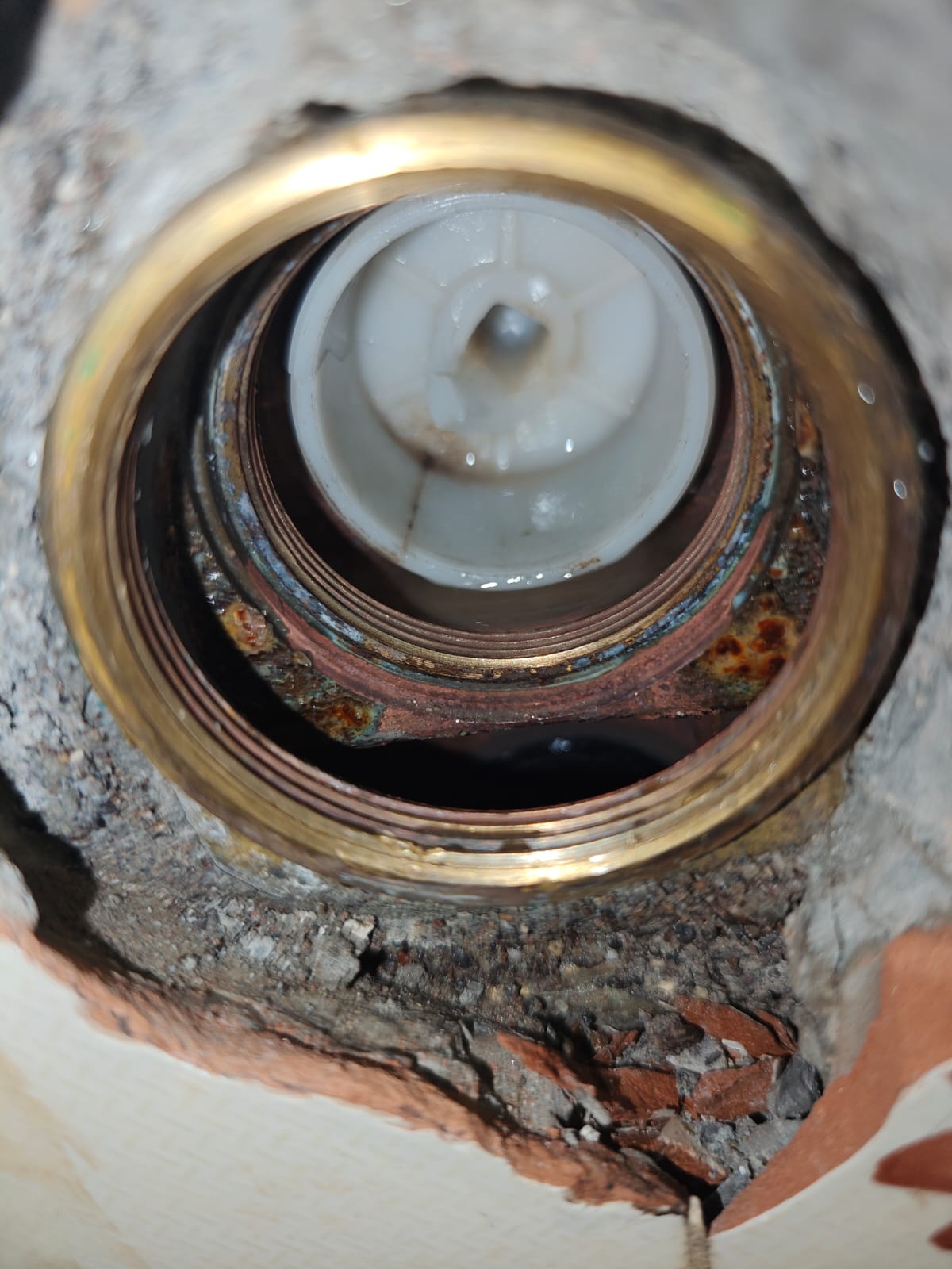 Sarvadnya Electrical & Plumbing Services