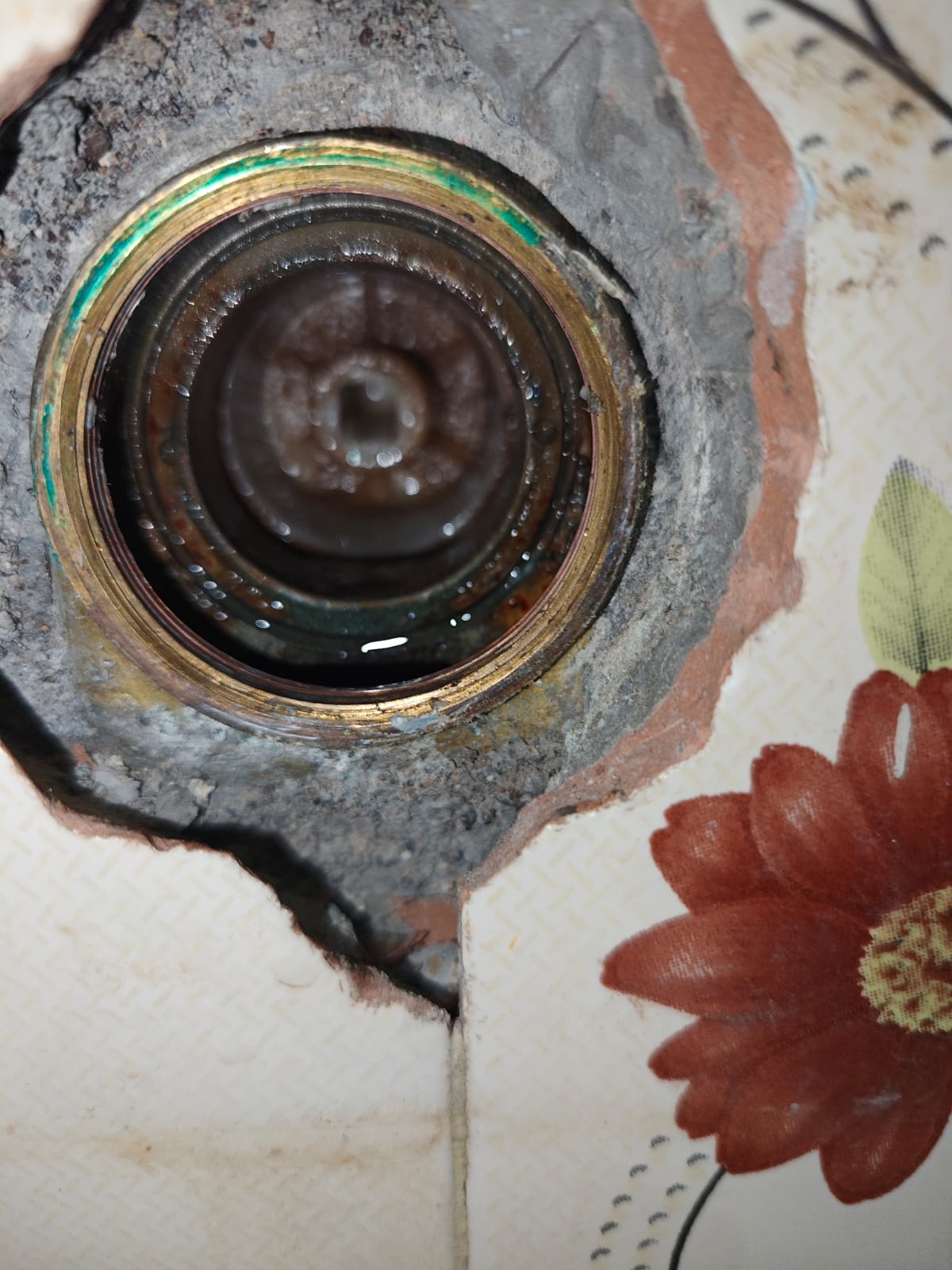 Sarvadnya Electrical & Plumbing Services