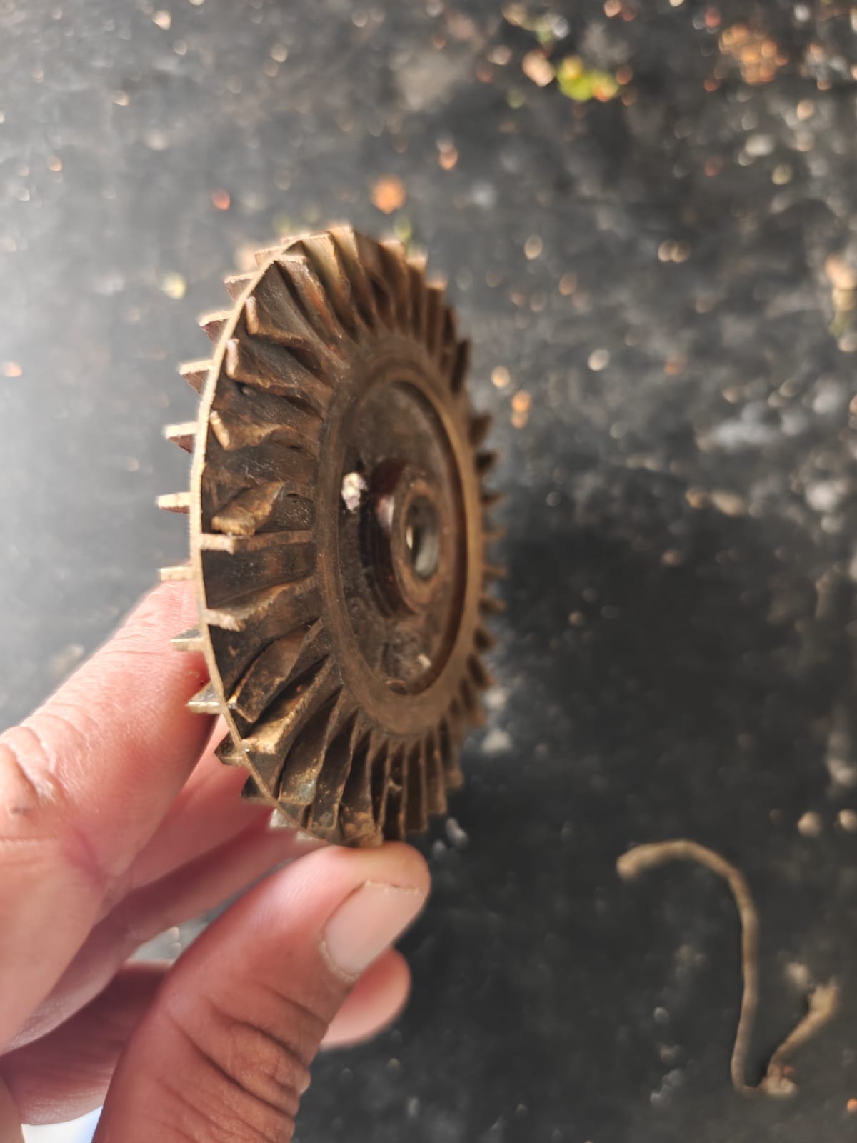 Sarvadnya Electrical & Plumbing Services