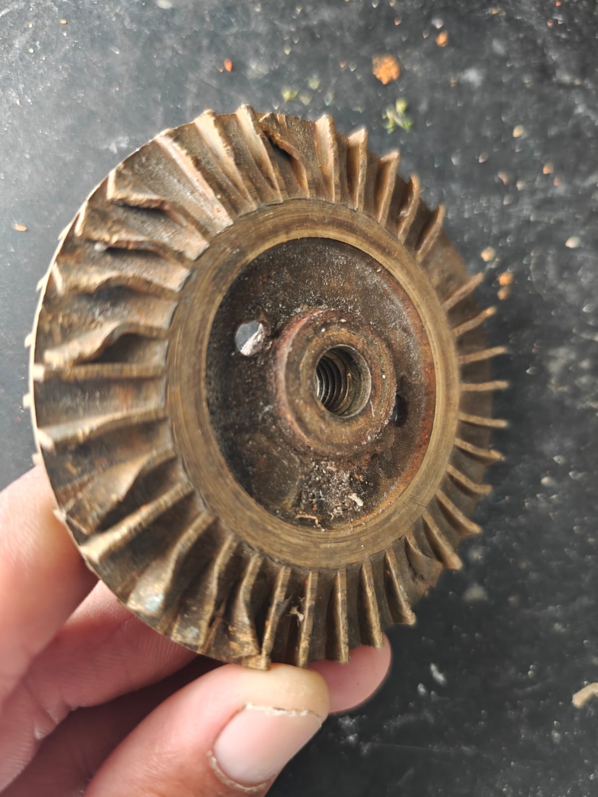 Sarvadnya Electrical & Plumbing Services