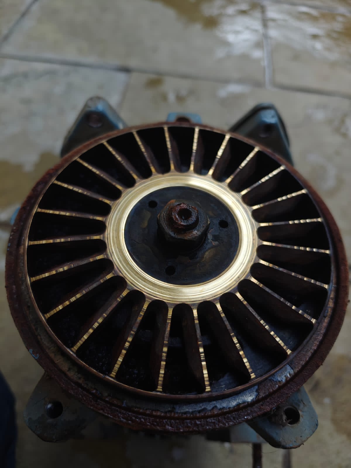 Sarvadnya Electrical & Plumbing Services