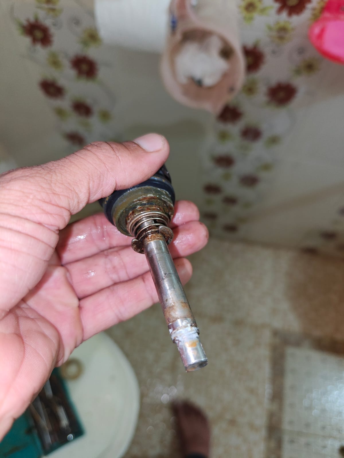 Sarvadnya Electrical & Plumbing Services