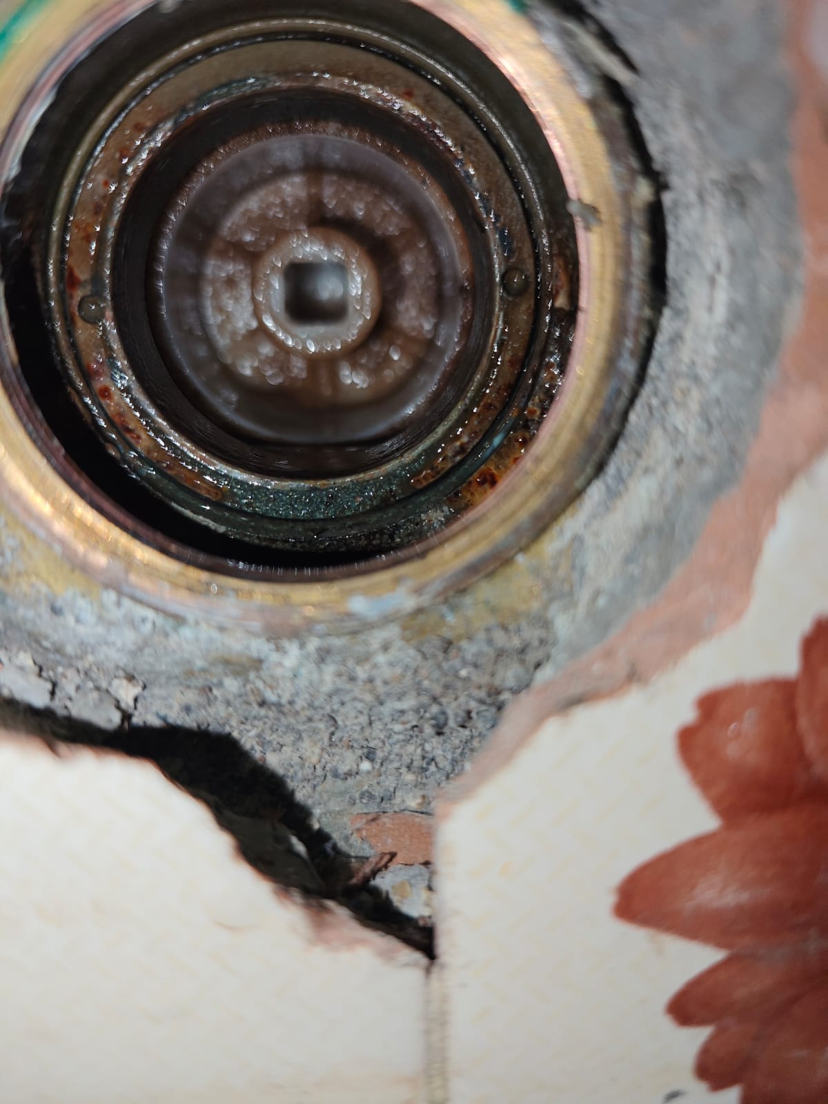 Sarvadnya Electrical & Plumbing Services